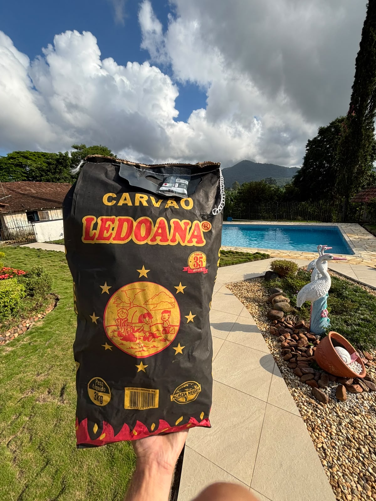 Carvão vegetal 3kg